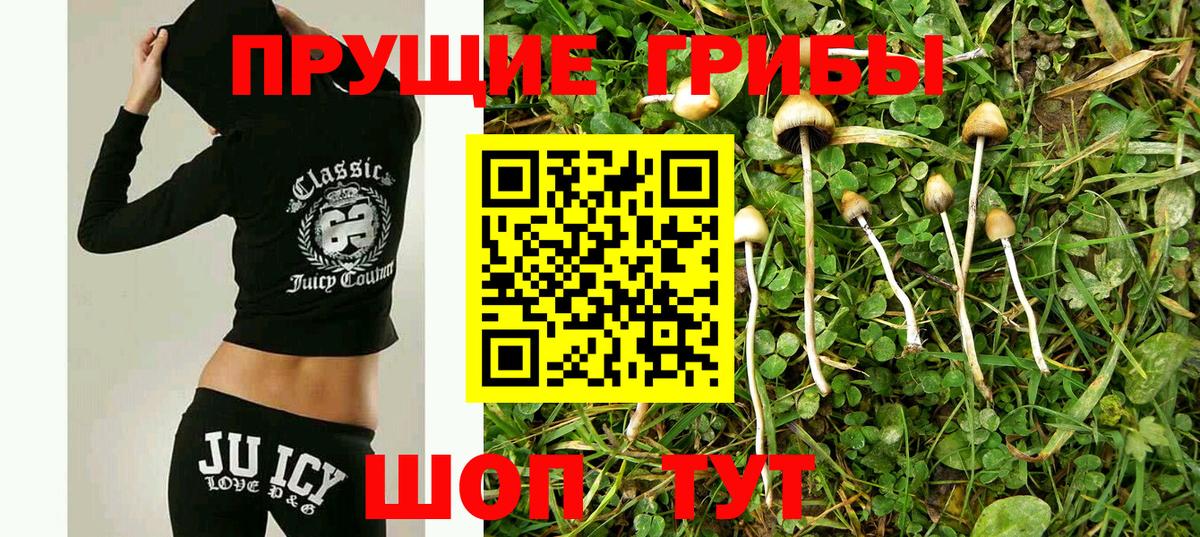 Галлюциногенные грибы MAGIC MUSHROOMS Саяногорск